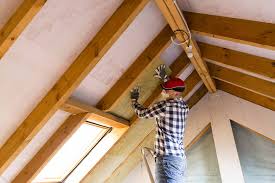 Best Spray Foam Insulation  in Manton, MI