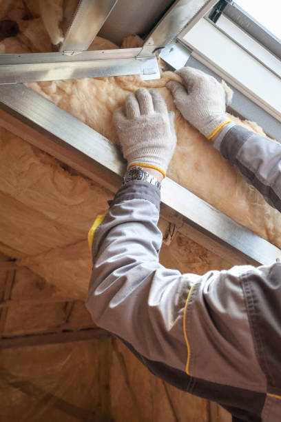 Best Insulation for New Construction  in Manton, MI